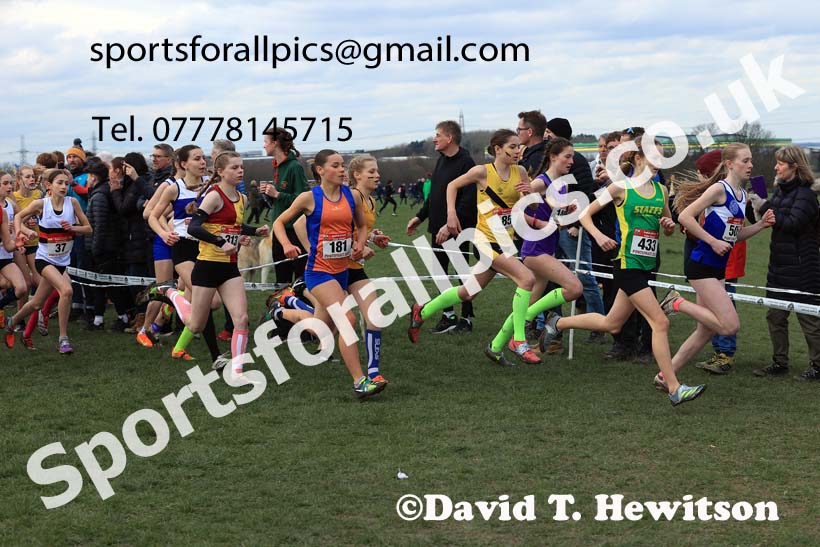 Junior Girls 2024 English Schools Cross Country Champs., Pontefract, March 16th.  Photo: David T. Hewitson/Sports for All Pics